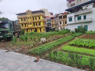 Gia chủ em cần bán lô đất đấu giá tại tt lim, xã tiên du, bắc ninh. diện tích 78.29m2