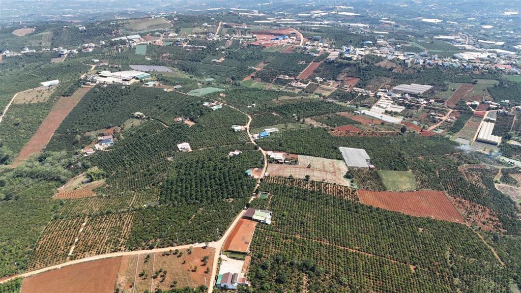 Bán đất tại lò gạch phúc xuân, 680 triệu, 246m2, giá ưu đãi, uy tín