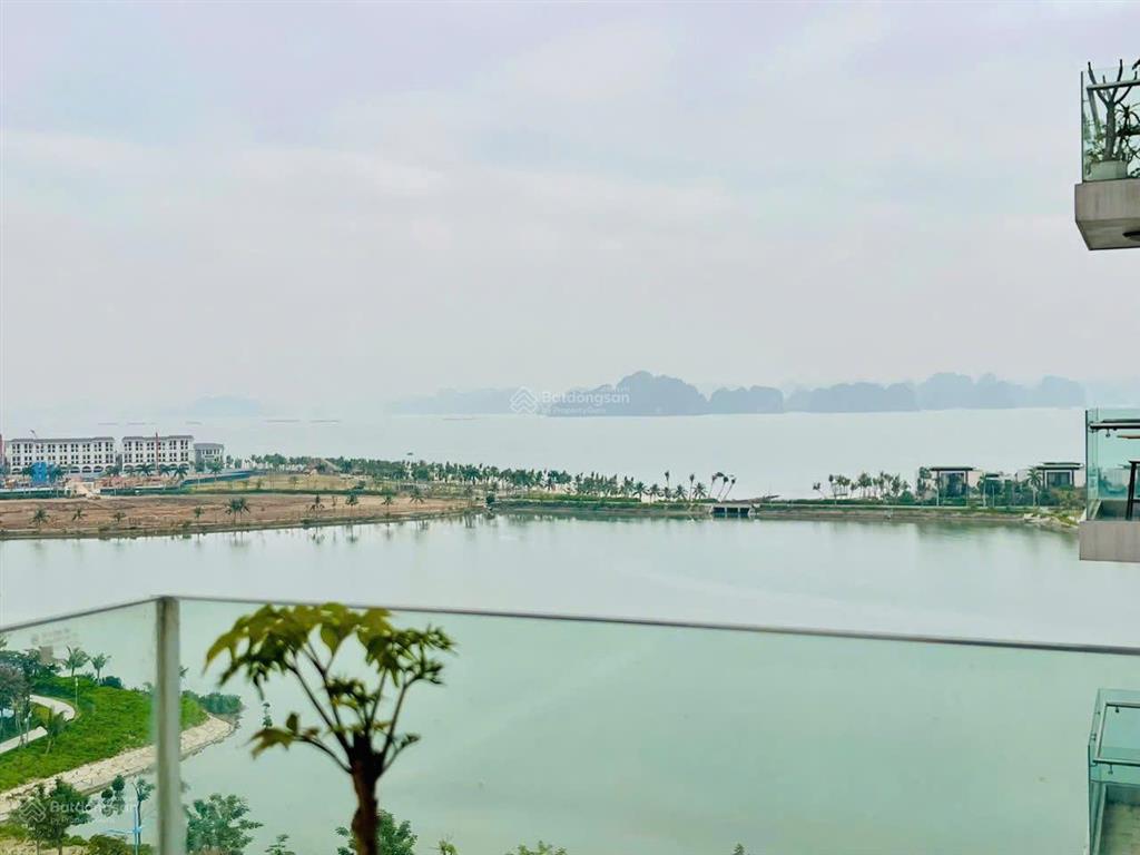 Cho thuê căn hộ 3 ngủ view biển bim 17 tầng bãi cháy