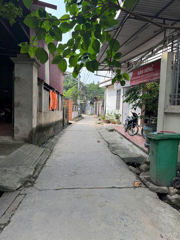 Bán đất tại ngõ 432, lê quang hòa, dương quang, 1,25 tỷ, 59,1 m2, giá cực chất