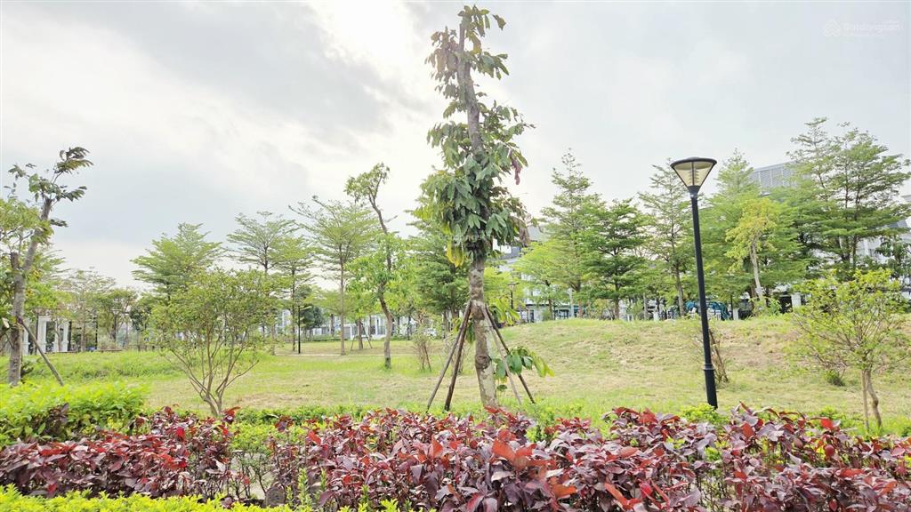 Biệt thự song lập 250m2 cách công viên chỉ 50m, tổng tiền 17,x tỷ bao gồm thuế phí chuyển nhượng