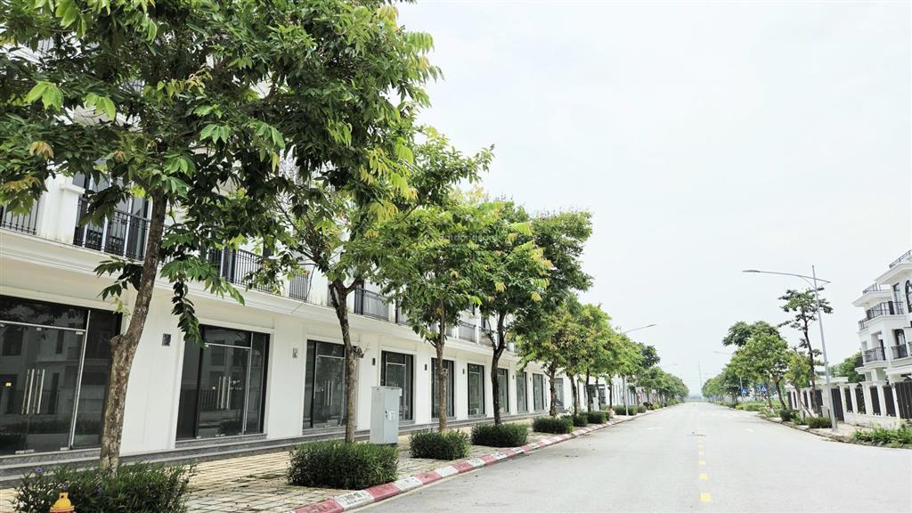 Căn liền kề ngay đầu đường 24m, với 2 mặt đường hud mê linh central 104m2, vào 50% nhận nhà ở ngay