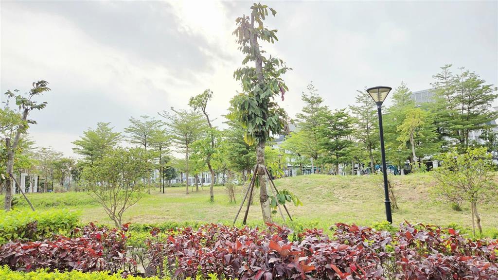 Biệt thự liền kề hud mê linh central cho thuê giá tốt đã hoàn thiện, hoàn thiện theo yêu cầu