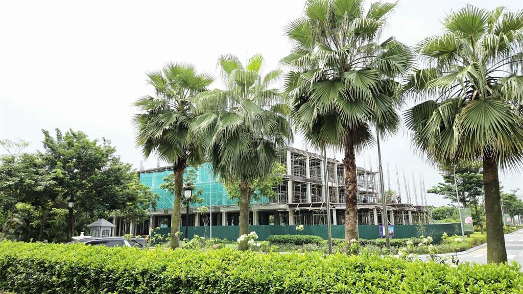 Với hơn 500 triệu sở hữu ngay liền kề 80m ngay dưới chân chung cư tại ceohomes hana garden mê linh