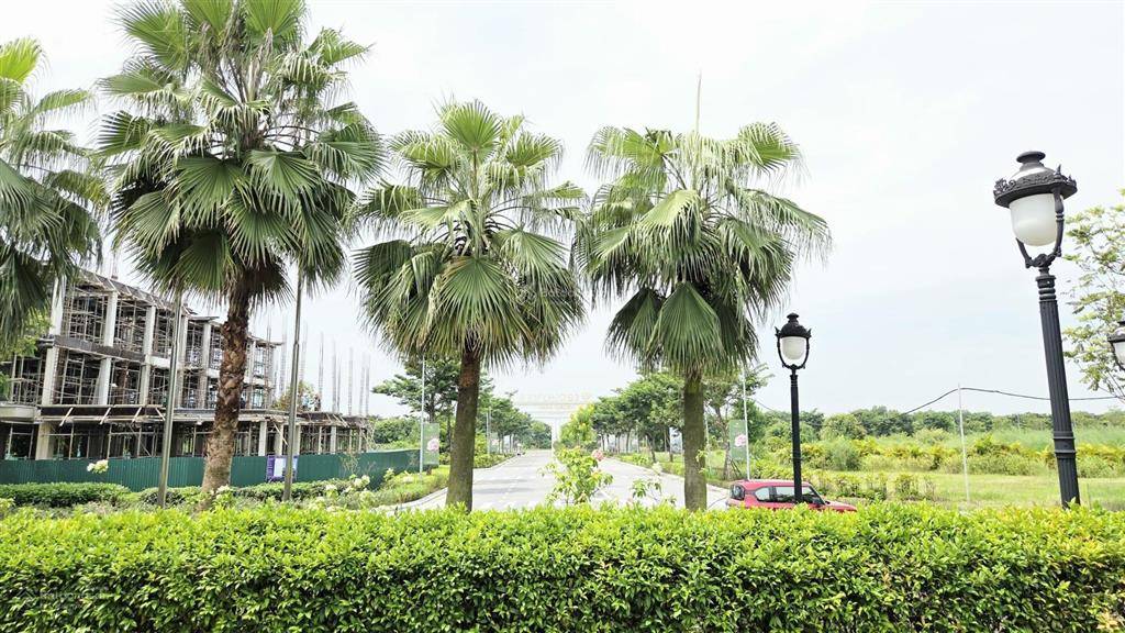 Với hơn 500 triệu sở hữu ngay liền kề 80m ngay dưới chân chung cư tại ceohomes hana garden mê linh
