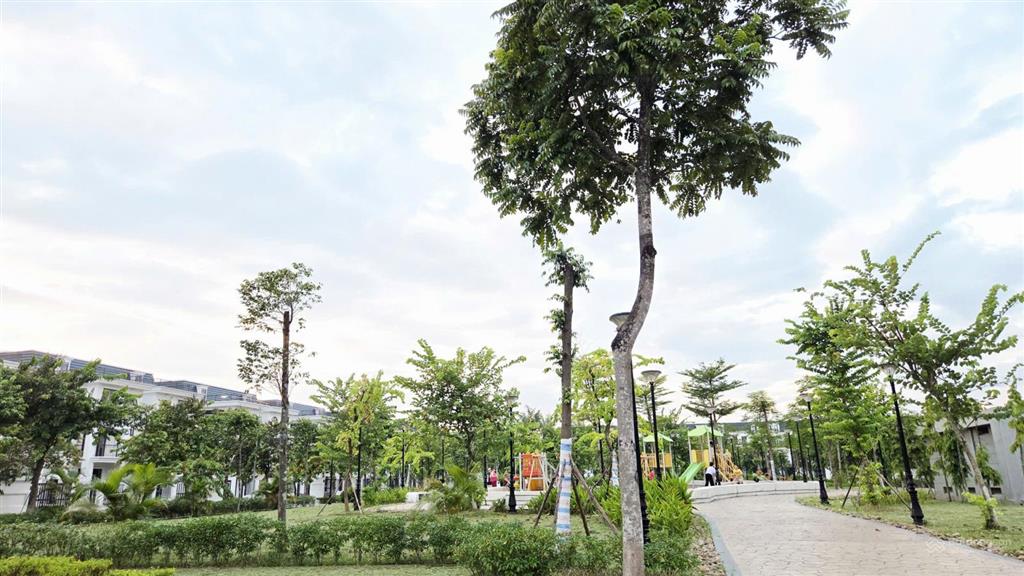 Biệt thự song lập hud mê linh central 300m2 đối diện công viên đã có sổ chỉ 66,6 tr/m2 bao sang tên