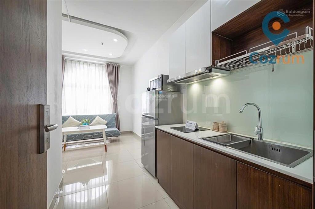 Cho thuê căn hộ ngay trung tâm q7, gần big c, phú mỹ hưng, lotte, crescent mall, có thuê ngắn hạn