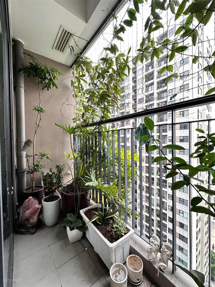 Bán gấp căn hộ chung cư, toà vip vinhome ocenpack 56m2, 2 ngủ view công viên thoáng mát, nhỉnh 3 tỷ