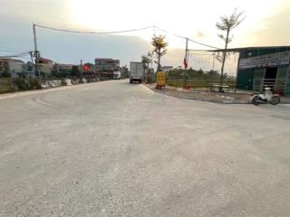 100m đất đấu giá bạch đa kim hoa mê linh hà nội