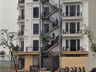 Đất đấu giá bạch đa kim hoa mê linh hà nội