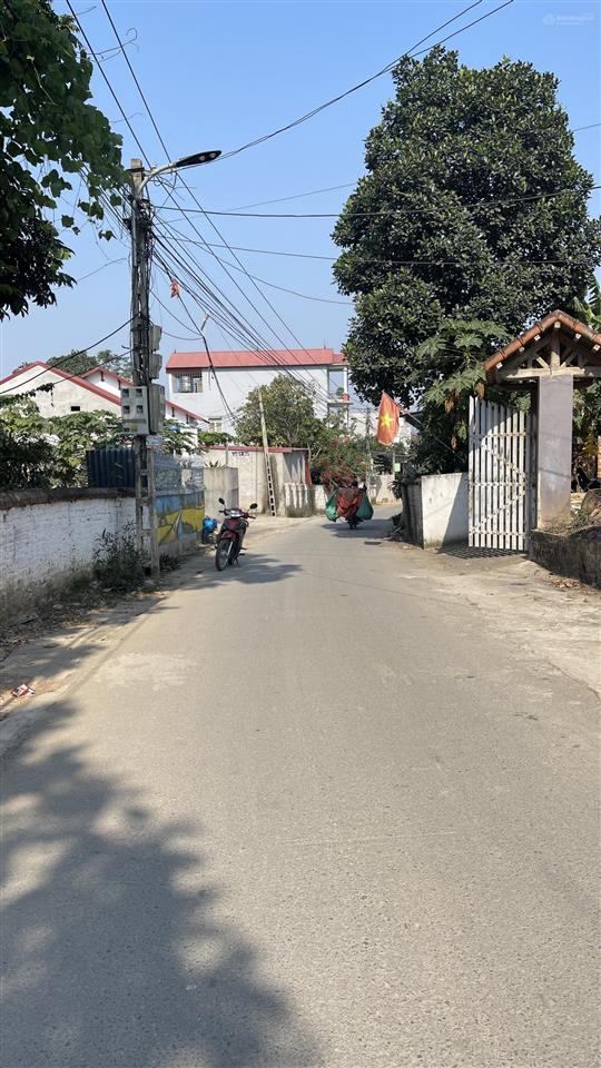 Bán đất hiếm tại thanh lâm, 61 triệu/m2, 113 m2, mặt tiền 6m
