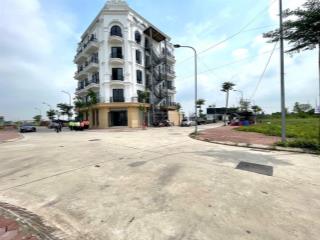 Bán 100m đất đấu giá bạch đa, tiến thắng, hà nội