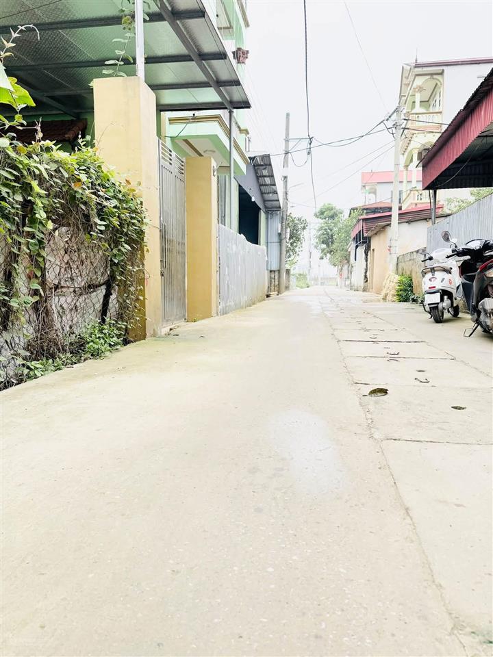 Bán lô đất đấu giá 86m xã quang minh, hà nội