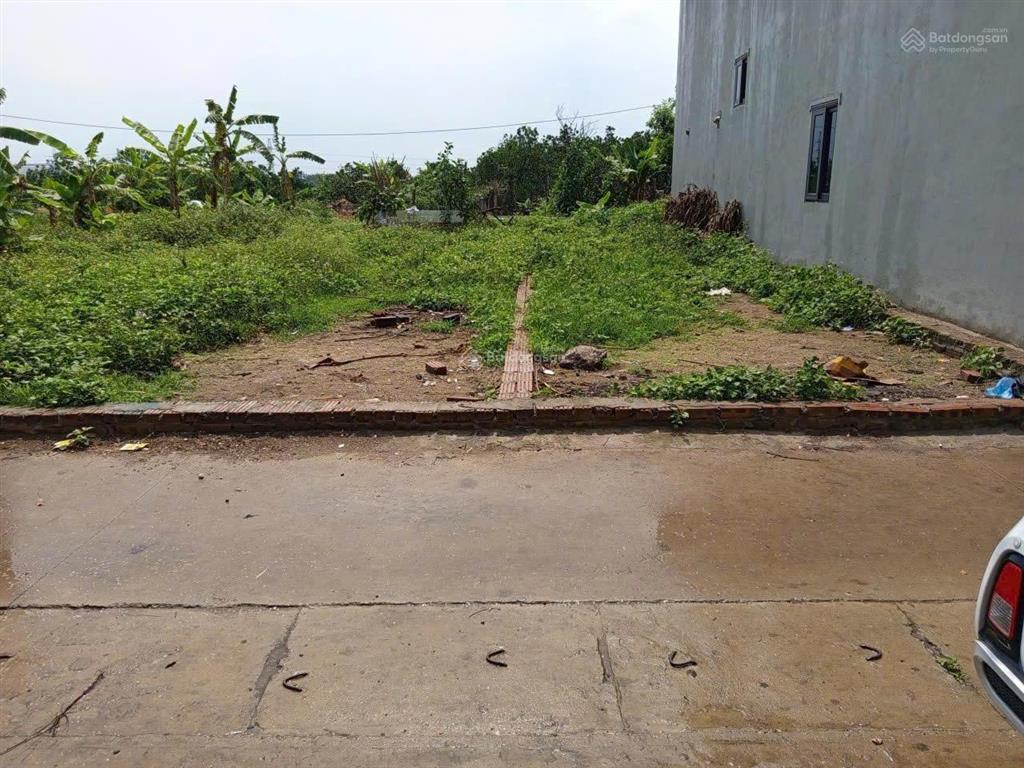 Hàng diện tích nhỏ 52m tổ 9 quang minh hà nội
