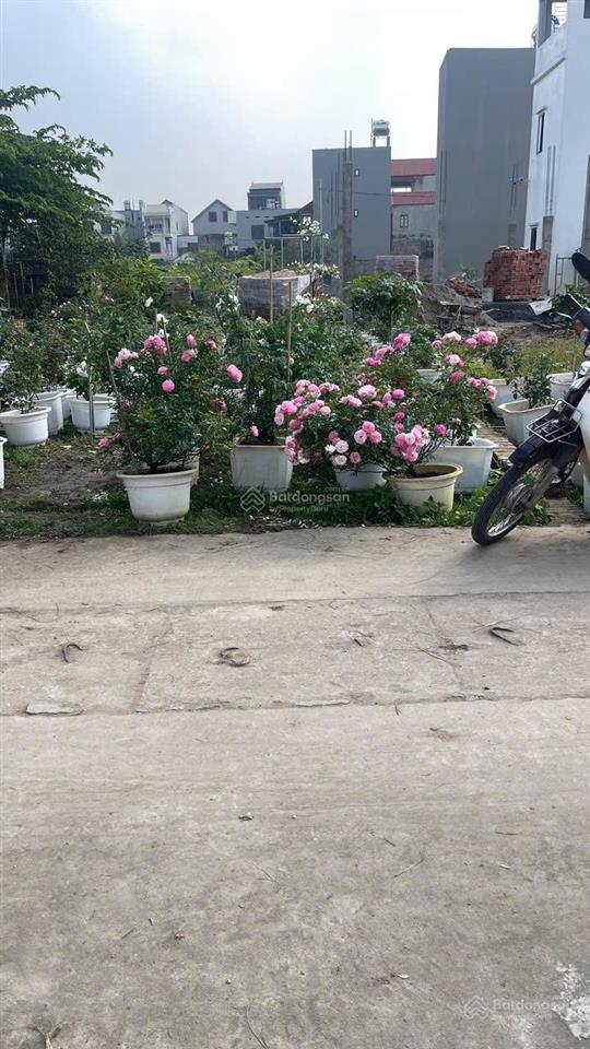 Diện tích nhỏ tổ 9 quang minh hà nội