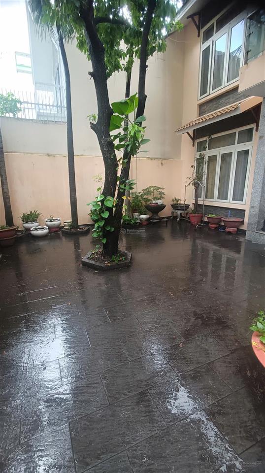 Vị trí vàng! chính chủ bán biệt thự sân vườn hẻm xe tải 8m  204m2, ở hay kinh doanh đều được!