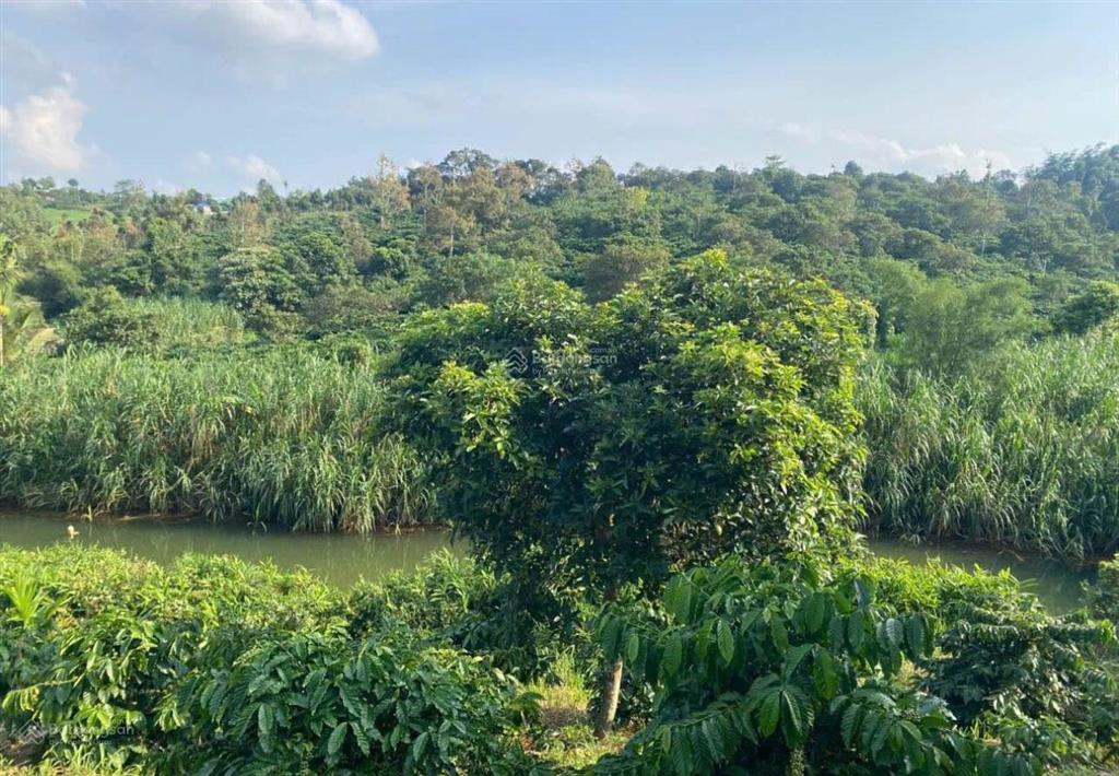 Ngân hàng thanh lý lô đất 2160m2