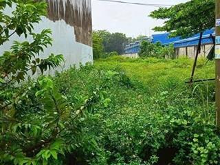 Chủ ngộp bán gấp nền ngay chợ việt kiều 180m2, shr . xã phước vĩnh an, củ chi. giá chỉ 890triệu