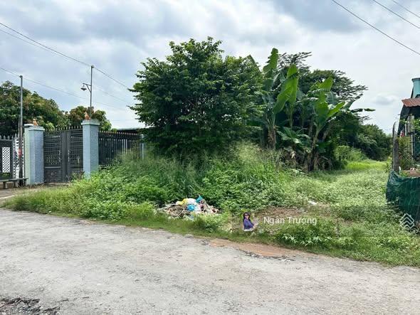 Chính chủ gửi bán đất mặt tiền  nở hậu  giá tốt 1 tỷ4 tại an hoà trảng bàng, gần kcn thành công