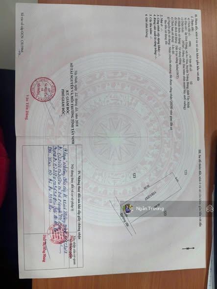 Bán nhanh đất 300m2 full thổ , shr, ở hoà hưng trảng bàng, gần kcn thành công. giá chỉ 780triệu