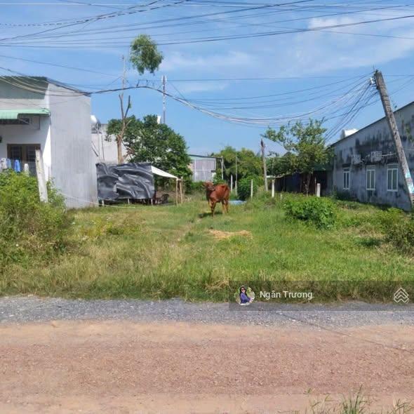 Bán nhanh đất 300m2 full thổ , shr, ở hoà hưng trảng bàng, gần kcn thành công. giá chỉ 780triệu