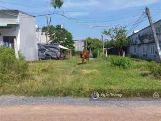 Bán nhanh đất 300m2 full thổ , shr, ở hoà hưng trảng bàng, gần kcn thành công. giá chỉ 780triệu