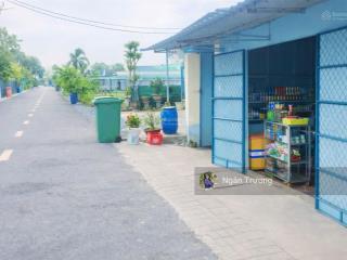 Chủ cần tiền bán gấp dãy trọ 5phòng  1kiot cho thuê full mt đường lê thị chì, củ chi  1tỷ600