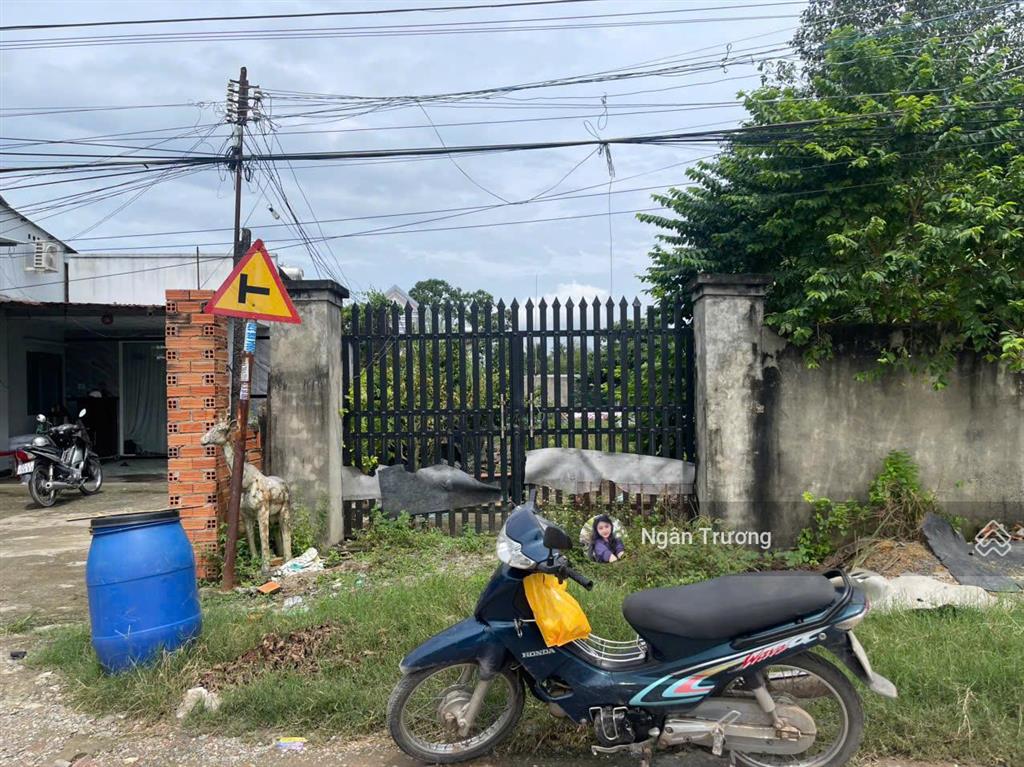 Đất đẹp hòa bình  an hòa trảng bàng, gần kcn thành thành công, 658m²  shr  giá sh 1 tỷ 5