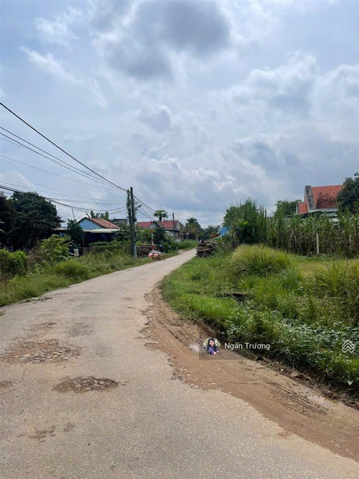 Đất đẹp hòa bình  an hòa trảng bàng, gần kcn thành thành công, 658m²  shr  giá sh 1 tỷ 5