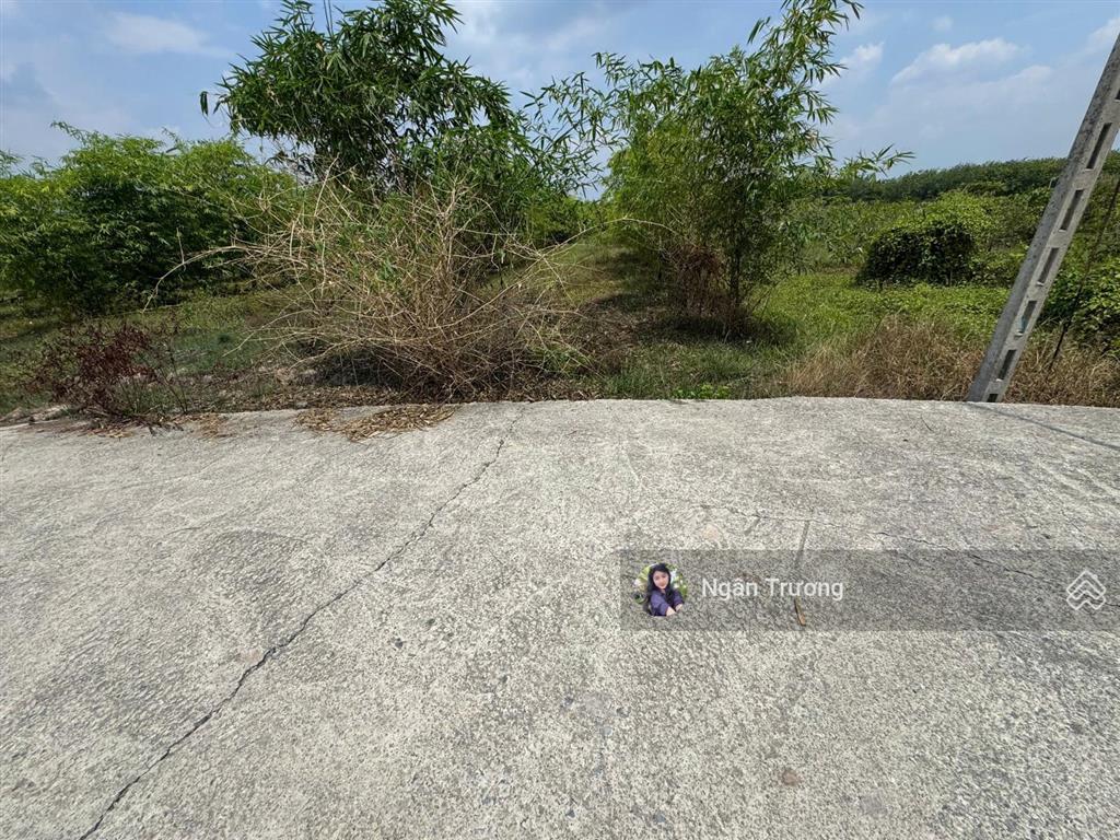 Bán đất suối cao phước đông | gần kcn phước đông  389m² full thổ  shr  giá 750tr