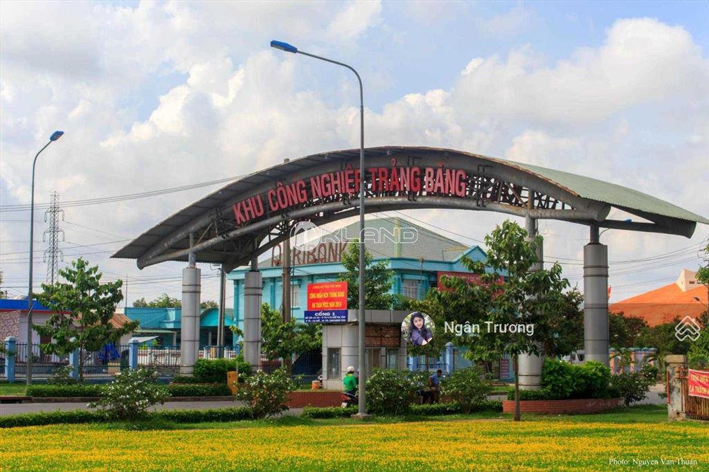 Đất 2 mặt tiền gia bình, trảng bàng | 228m2  có thổ cư đô thị  shr  giá 1,355 tỷ