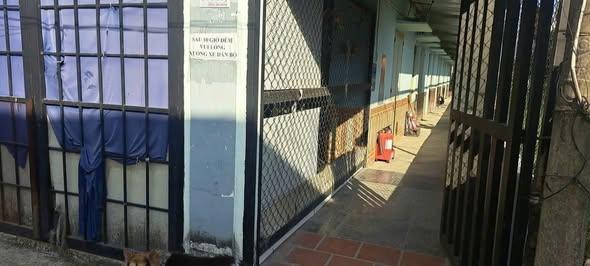 Đẩy nhanh dãy trọ 7 phòng đường cây da, củ chi  gần kcn tân phú trung  giá 1,3 tỷ