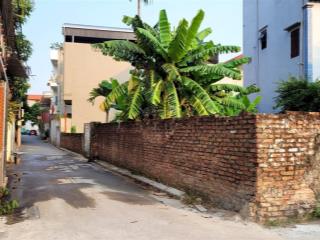 Chính chủ bán đất xuân trạch xuân canh, đông anh, gần vinhomes cổ loa