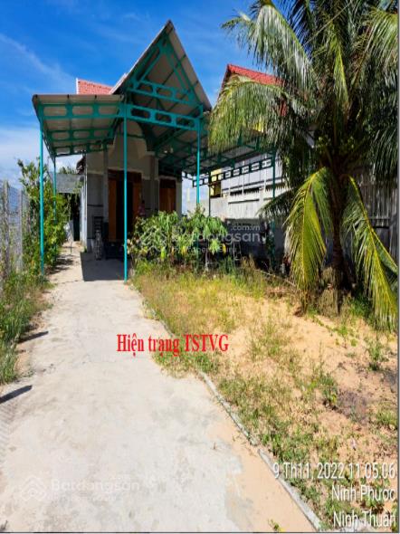 Bán nhà cấp 4 mt tl710 phước hải, ninh phước, ninh thuận