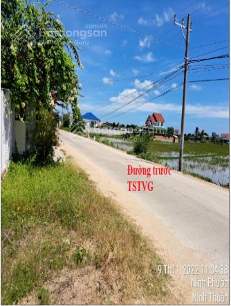 Bán nhà cấp 4 mt tl710 phước hải, ninh phước, ninh thuận