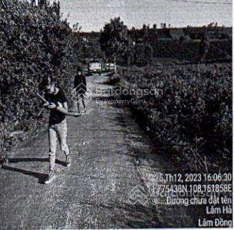 Bán ~6000m² đất phúc thọ, lâm hà, lâm đồng