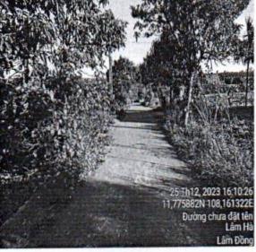 Bán ~6000m² đất phúc thọ, lâm hà, lâm đồng