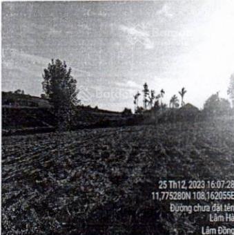 Bán ~6000m² đất phúc thọ, lâm hà, lâm đồng