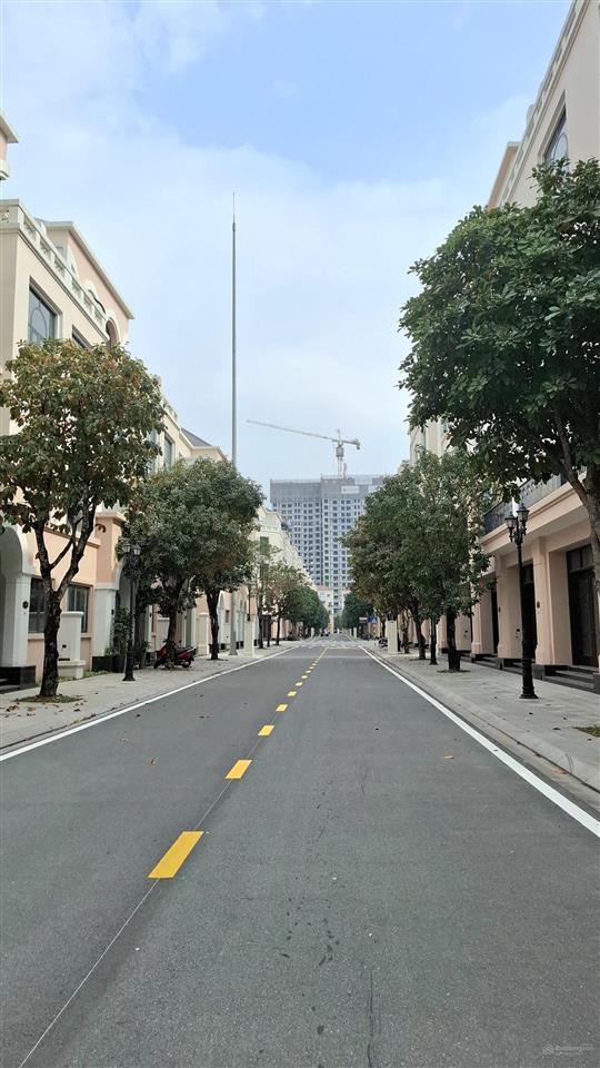 Xẻ khe hải âu 123.5m, sổ đỏ lâu dài. mặt tiền 9m. gần công viên. bể bơi. bán 15.8 tỷ