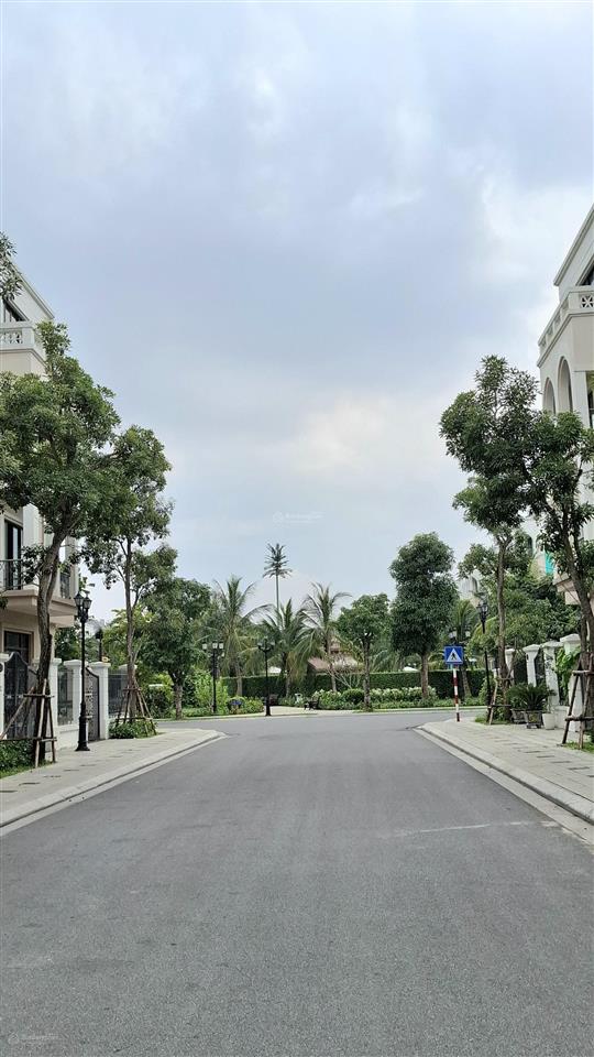 Hót tứ lập cọ xanh  120m sẵn sổ đỏ  giá rẻ nhất thị trường. 16.5 tỷ