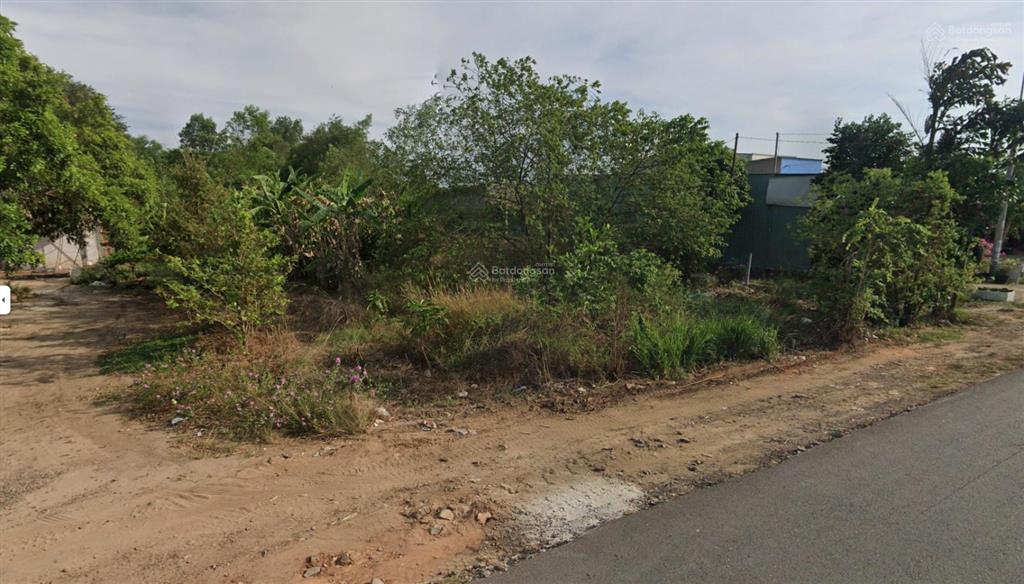 Chính chủ  bán đất mặt đường phước bình  long thành 232,2m2  mặt tiền 5m