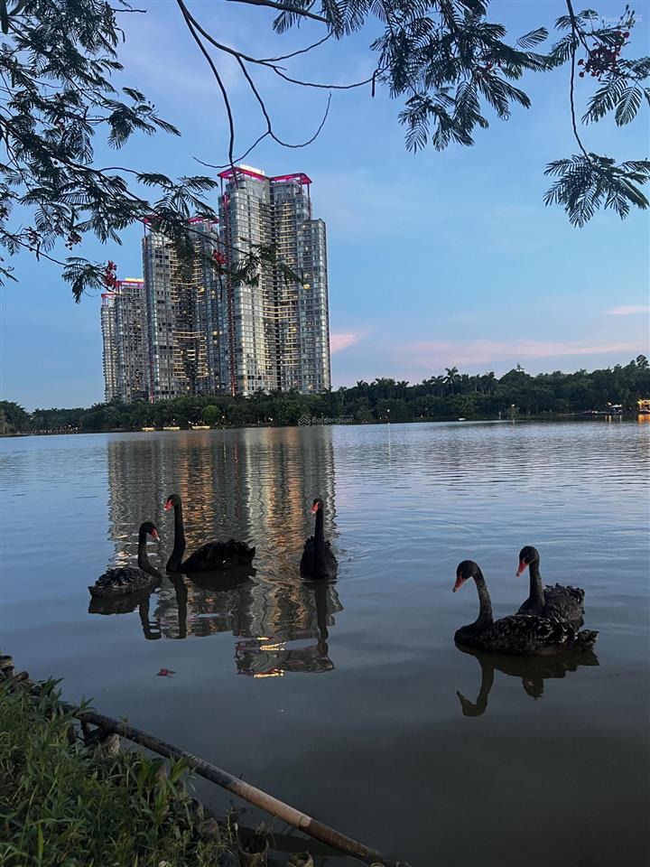 Chính chủ cần bán căn hộ vip penhouse duplex tại dự án onsen swanlake ecopark