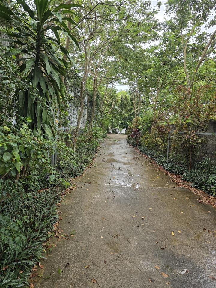 Bán đất nhà vườn, khu nông thôn mới, xã yên bài, 11.000 m, 300 ont