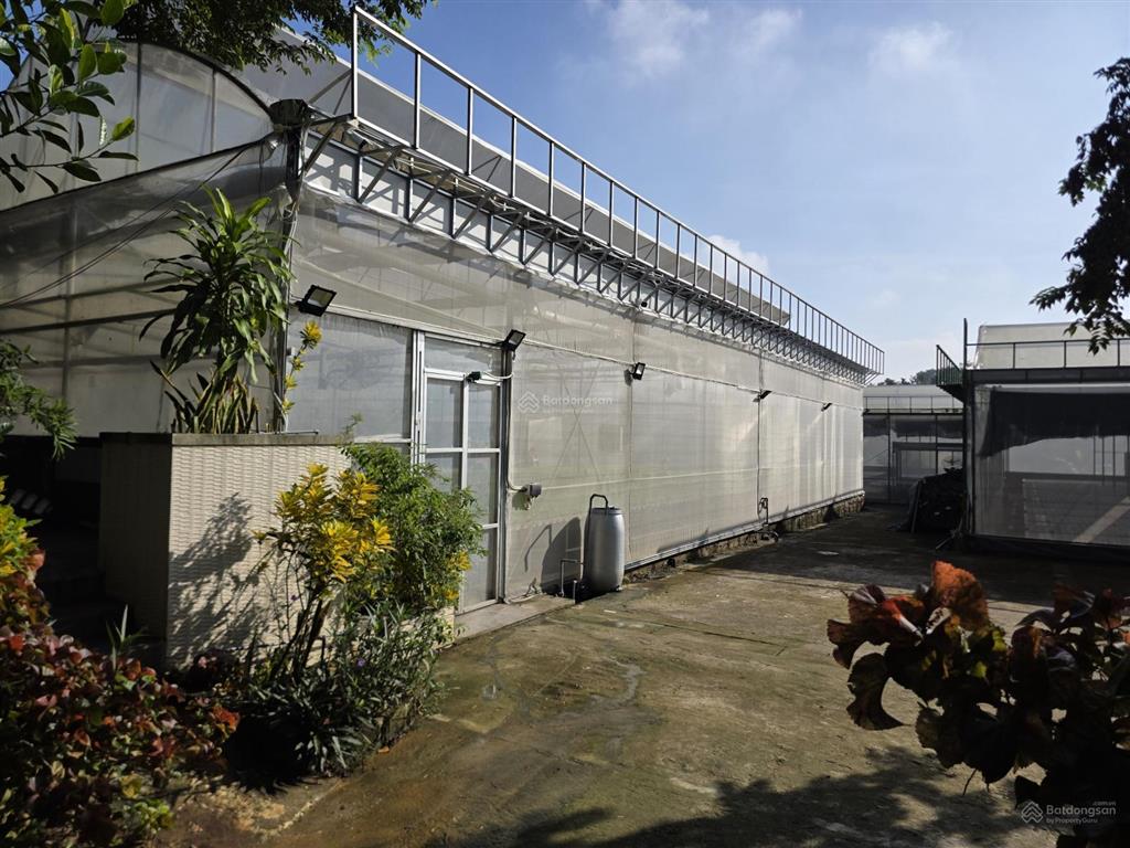 Bán đất nhà vườn, khu nông thôn mới, xã yên bài, 11.000 m, 300 ont