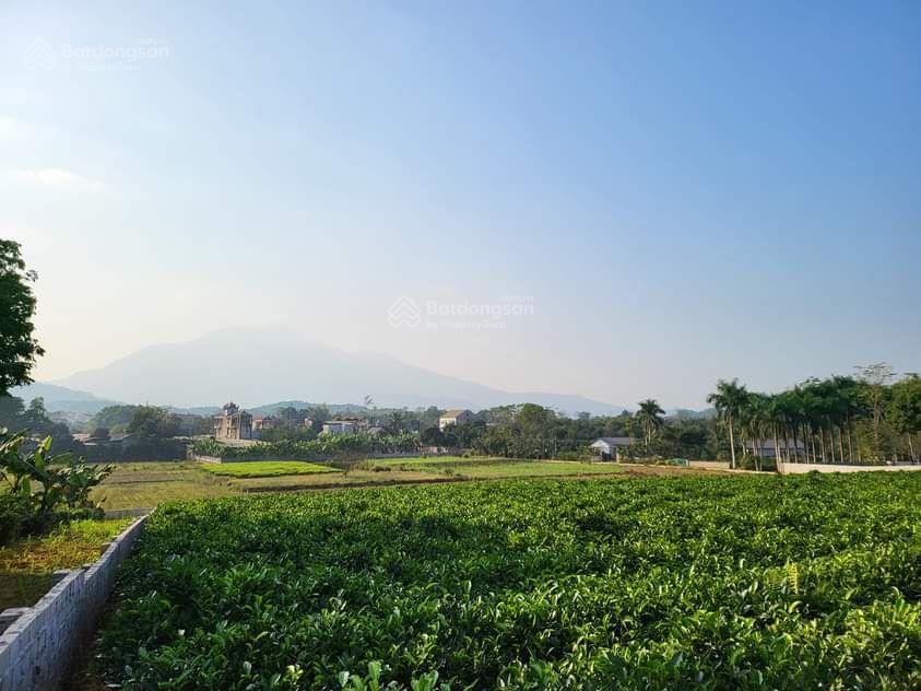 Bán đất nhà vườn, khu nông thôn mới, xã yên bài, 11.000 m, 300 ont