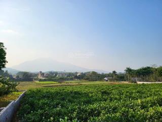 Bán đất nhà vườn, khu nông thôn mới, xã yên bài, 11.000 m, 300 ont