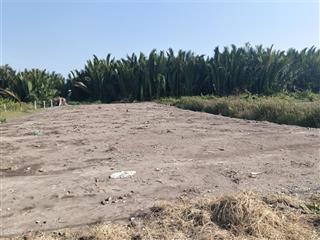 Chỉ 9,7 tỷ sở hữu ngay lô đất 6568m2 mặt tiền đường rạch lá, an thới đông, cần giờ