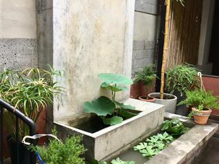 Hiếm ngang khủng ~9m nhà đẹp hẻm xe hơi hoàng hoa thámtân bình 165m² giá chỉ 22 tỷ tl