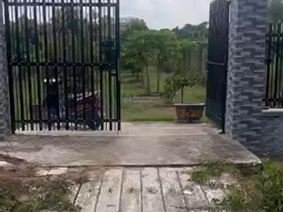 Bán nhà vườn trái cây, ao cá tại xã hưng long, bình chánh, tp.hcm, 5,8 tỷ, 1000m2