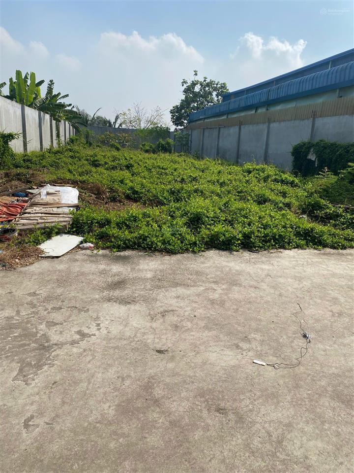 Chủ đang ngộp bank bán nhanh kho xưởng mới xây, ngang 12m dài 70m